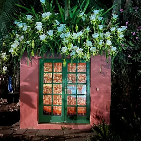 La Casa Del Molino De Viento Agaete (Gran Canaria)