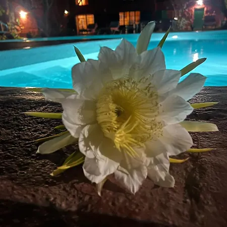 La Casa Del Molino De Viento Dom wakacyjny