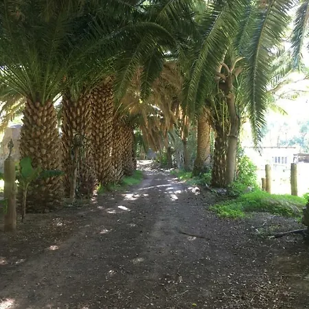 La Casa Del Molino De Viento
