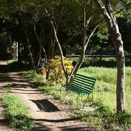 La Casa Del Molino De Viento Agaete (Gran Canaria)