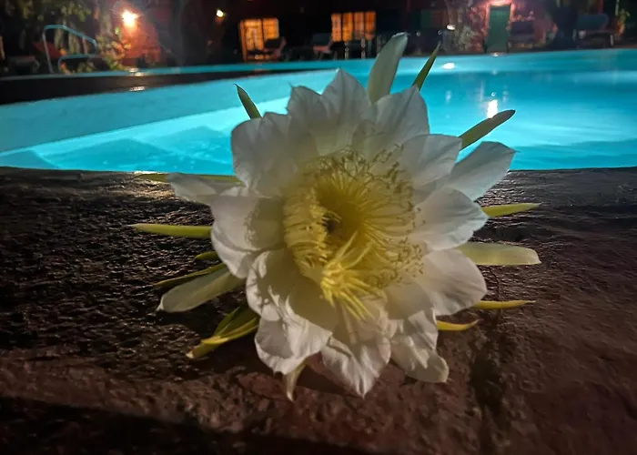 La Casa Del Molino De Viento Сasa de vacaciones