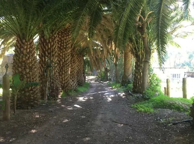 La Casa Del Molino De Viento