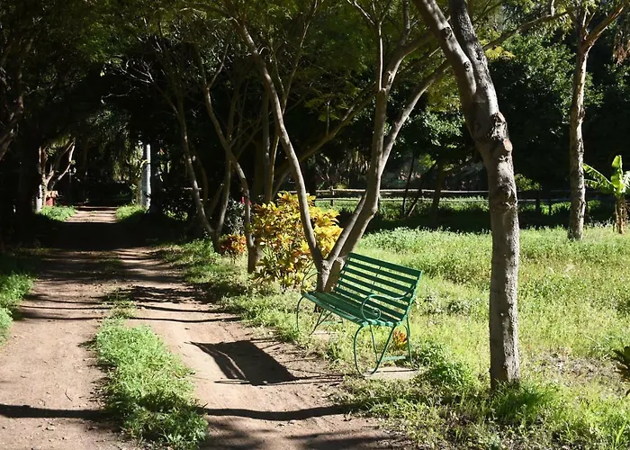 La Casa Del Molino De Viento Agaete (Gran Canaria)